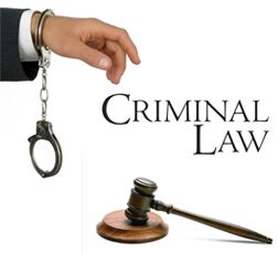 Criminal Litigation Expertise